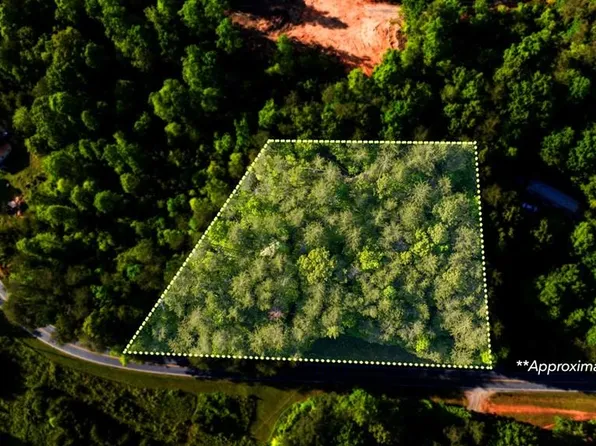Township Road 3 W Gum Log Rd, Warne, NC 28909