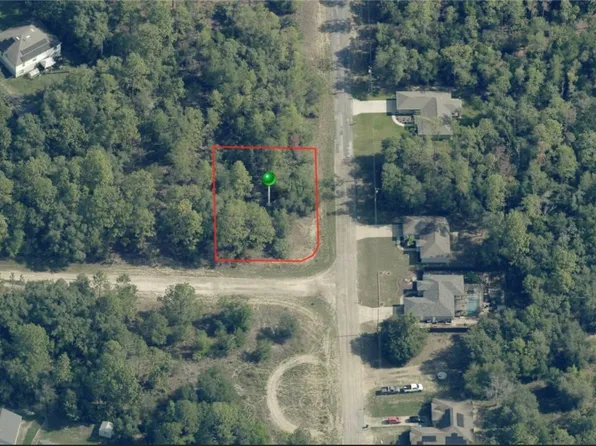 2947 W Bedford Ln, Citrus Springs, FL 34433