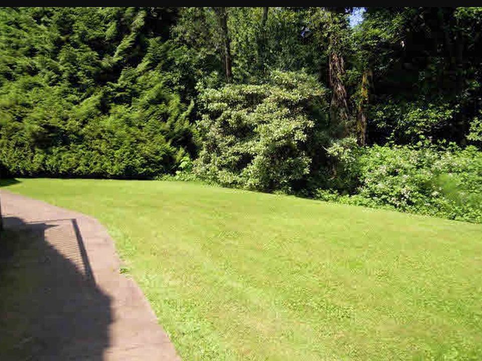 2nd image of 17293 4th Ave
