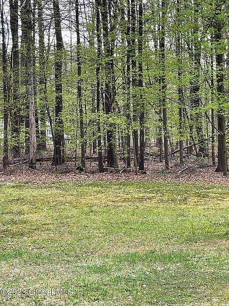 4th image of Lot 2A State Route 9P