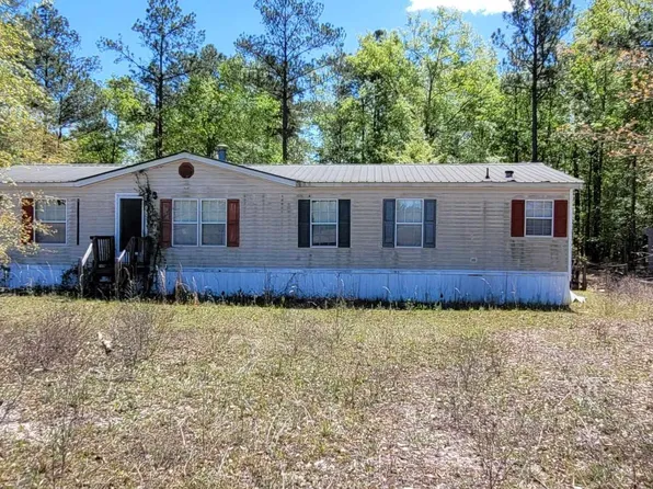36 Joe Dority Rd, Bishopville, SC 29010