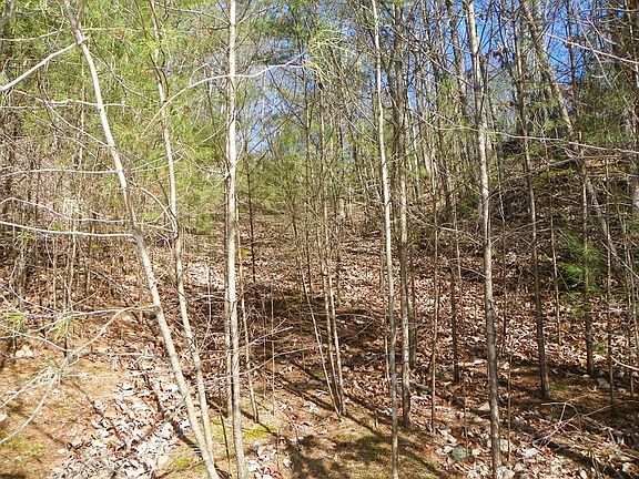 5th image of 0 Shadow Ridge Dr Lot 37
