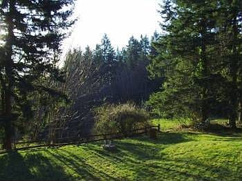 3rd image of 10411 Fawn Dr NW