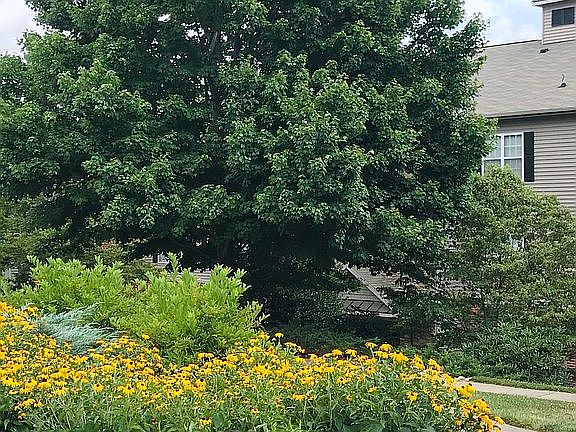 Appeldoorn Community Area