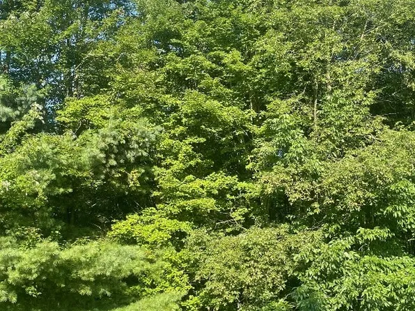 Carlton Rd, Carlton, PA 16311