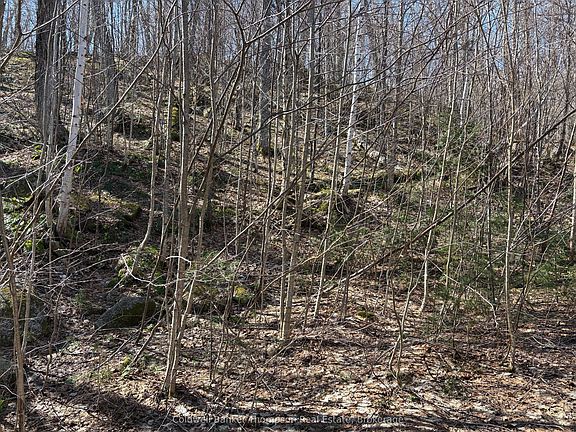 3rd image of 0 Hamilton Lake Rd