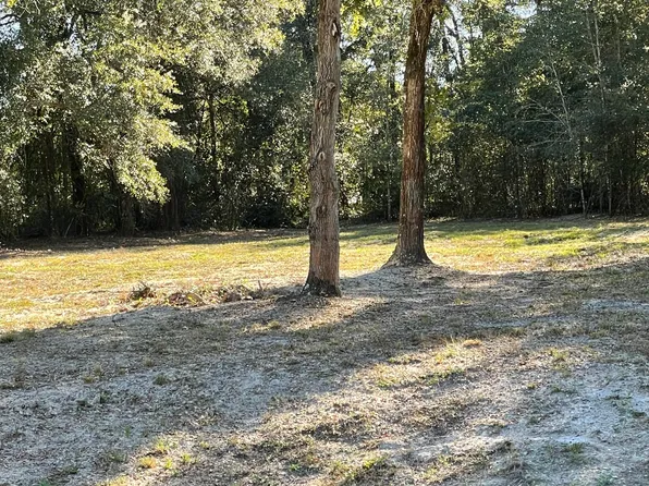 1721 HAGANS RIDGE Court, Green Cove Springs, FL 32043