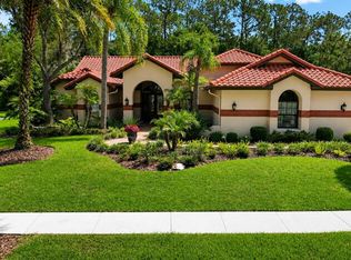 8944 Magnolia Chase Cir, Tampa, FL 33647