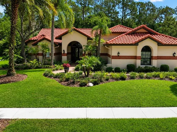 8944 Magnolia Chase Cir, Tampa, FL 33647