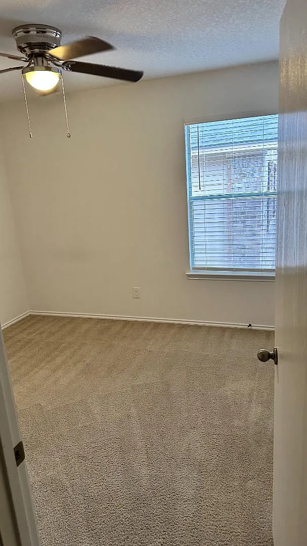 7919 Martinelli - C — Photo 2