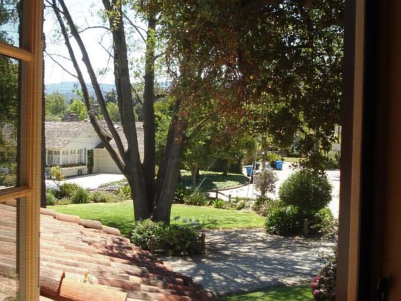 View out Front Windows