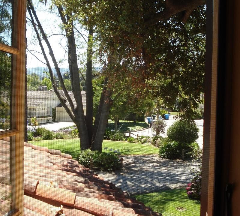 View out Front Windows