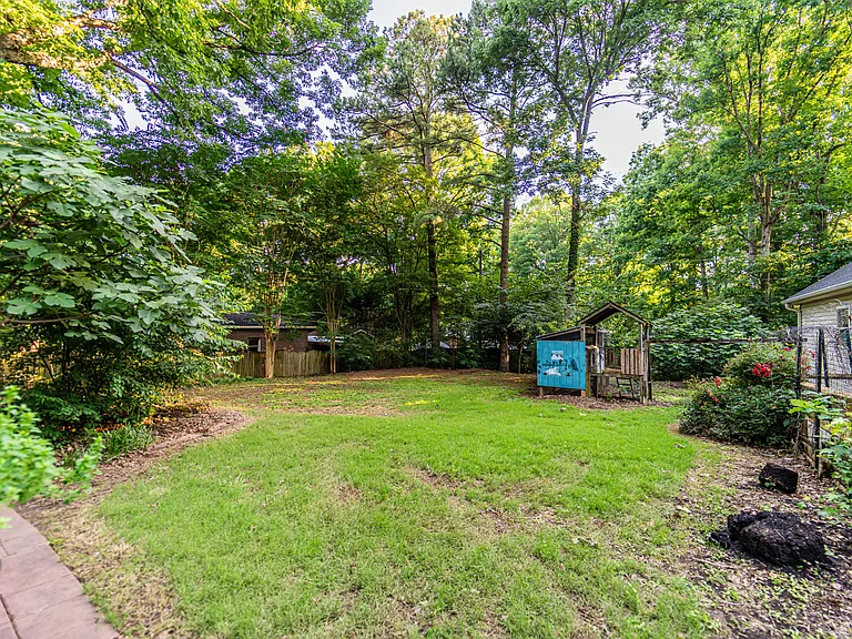 Back yard
