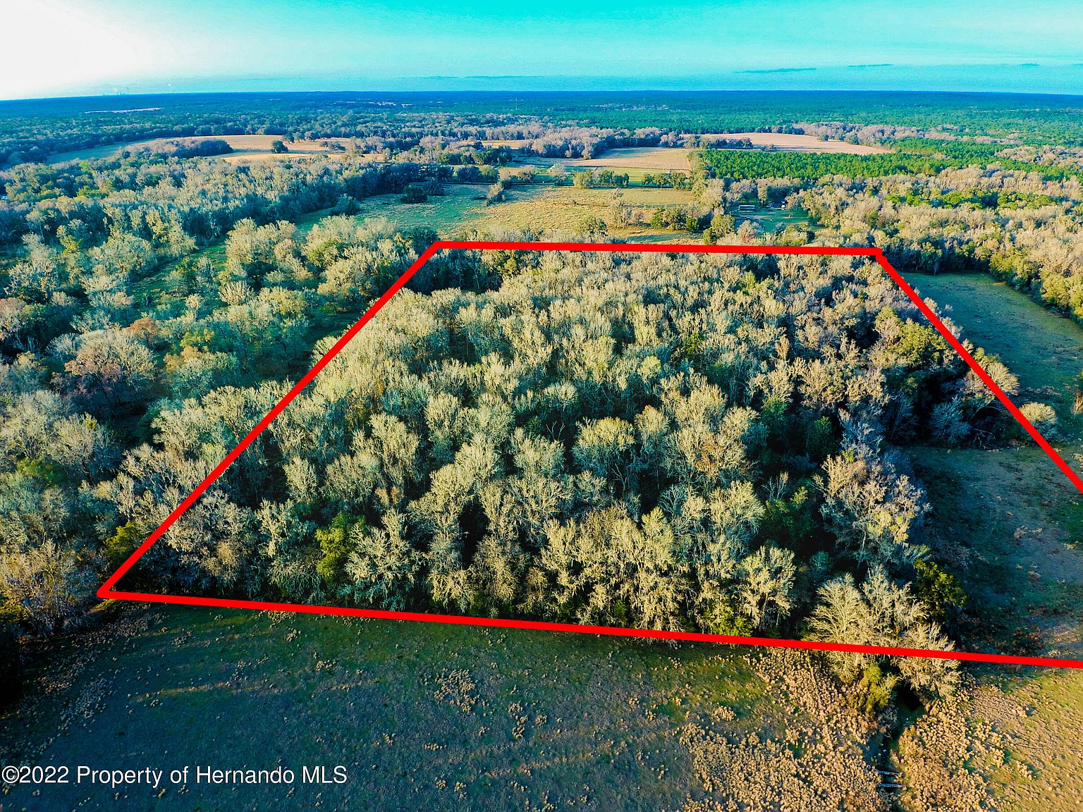 0 Brittle Rd, Brooksville, FL 34601 Zillow