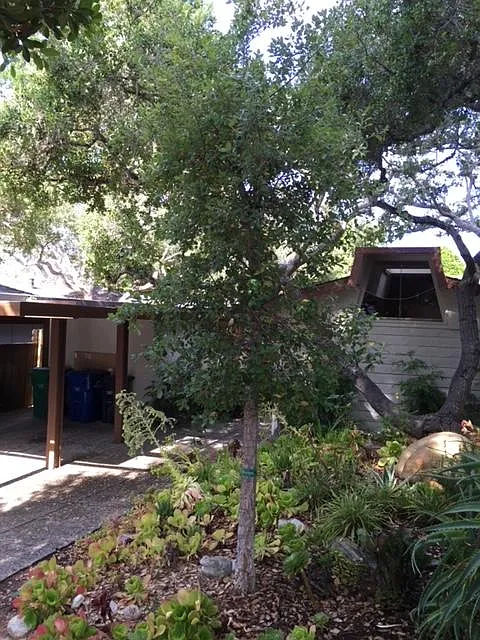 2 bed, 1343 sqft, $5,000 — Photo 3