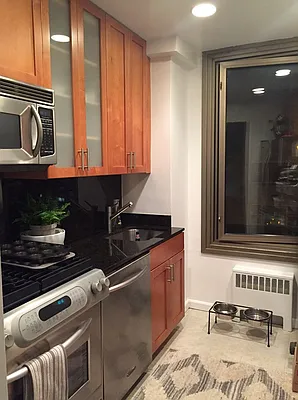 Rented by Manhattan Skyline | media 10