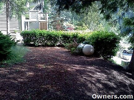 Front yard