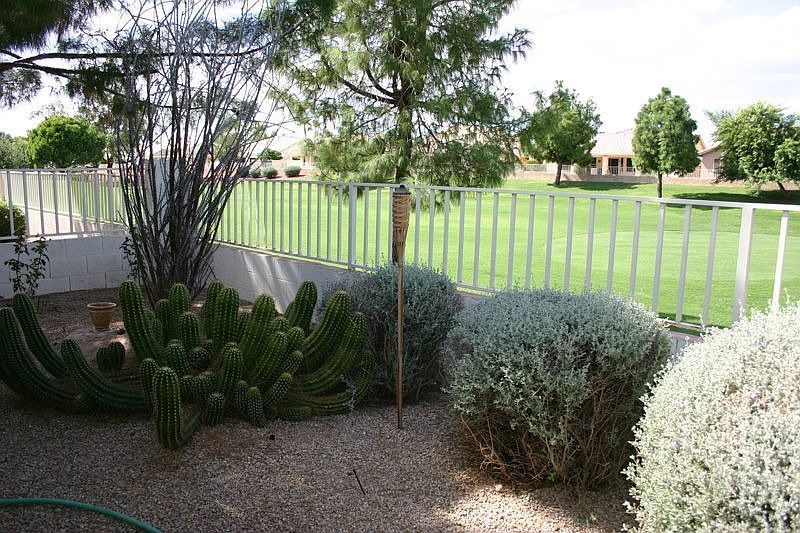 View of Golf Course from Patio