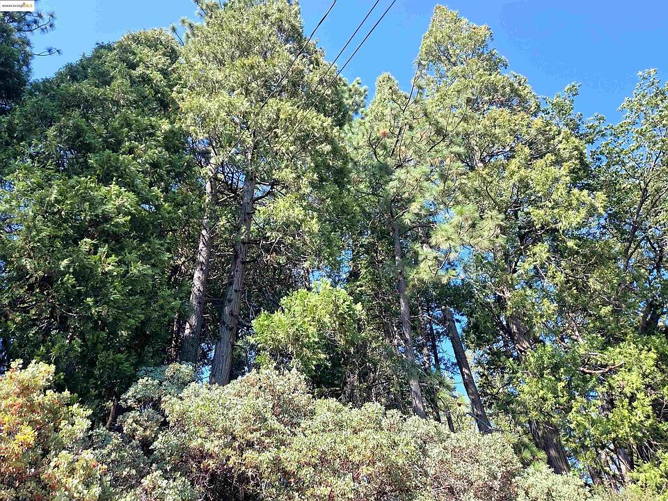 2nd image of 22558 Confidence Rd