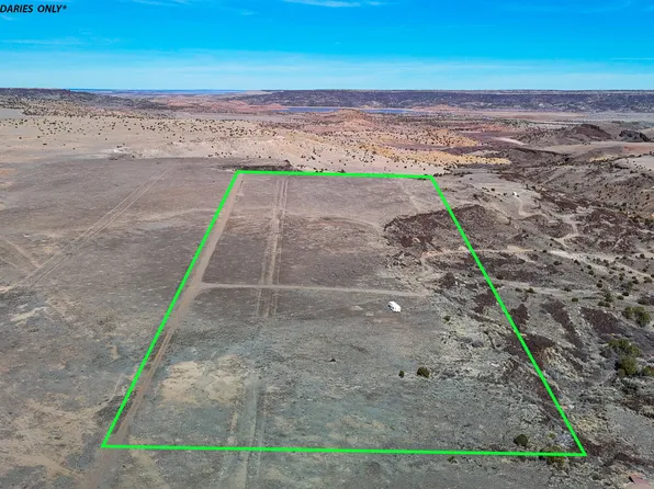 0 County Road 4008, Saint Johns, AZ 85936