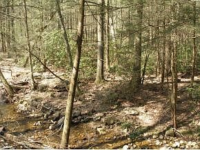 1st image of 7040 Highway 421