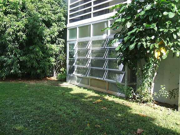 Rear view