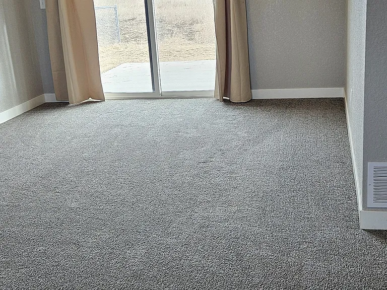 Downstairs Family Room - Ground level to go outside to the back yard