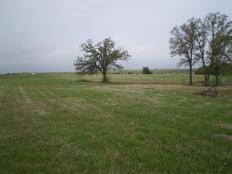treed area