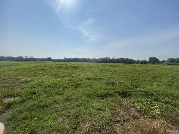 LOT 19 Buddy Gore Rd Lot 19, Gonzales, LA 70737