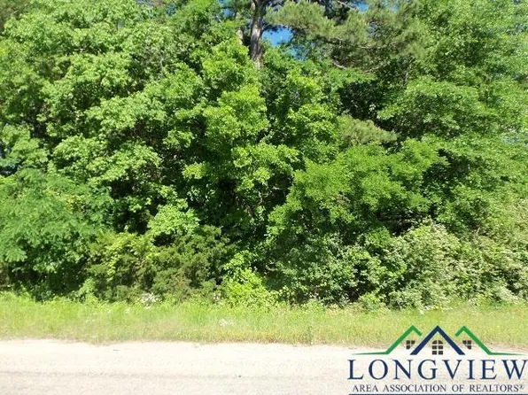 Joy Wright Mountain Rd, Gladewater, TX 75647