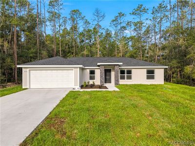 9818 N Pewter Ave, Citrus Springs, FL, 34434