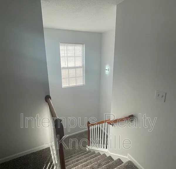 3119 Pinex Ln — Photo 10