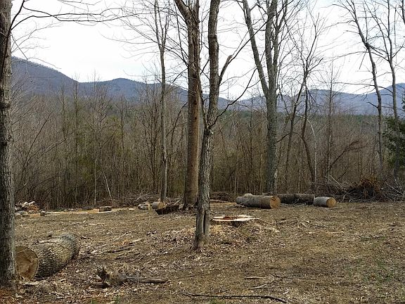 2nd image of 0 Kerrs Creek Ln