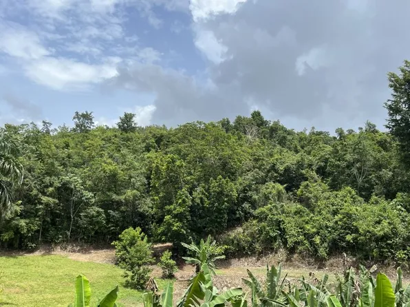 State Highway 673 Km #1.0, Vega Baja, PR 00693