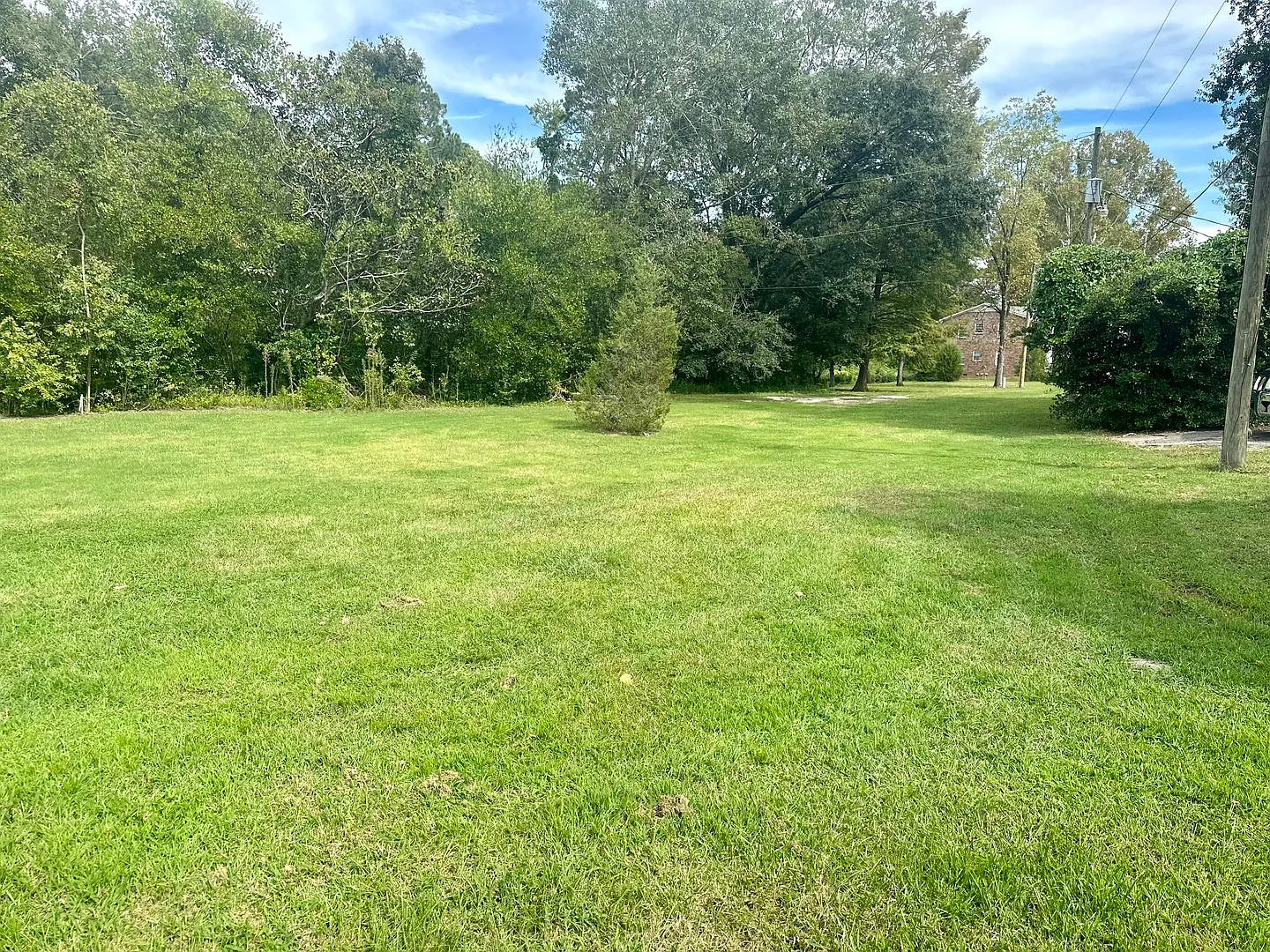 Trenholm Apartments — Photo 4