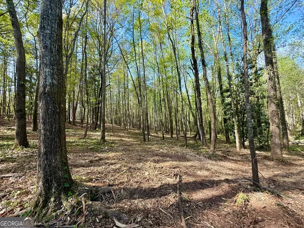 422 Parkway Dr, Toccoa, GA 30577