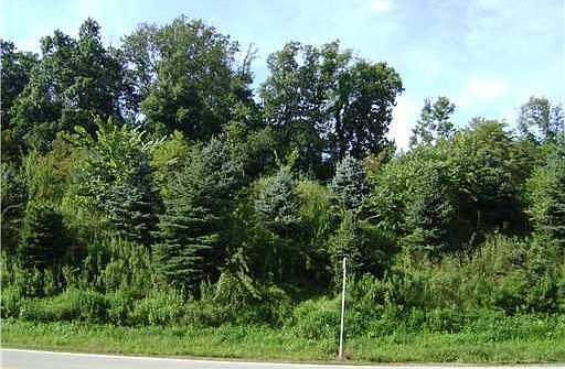 1st image of 5562 Old William Penn Hwy