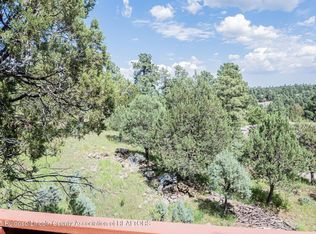 118 Thunder Mountain Ct, Alto, NM 88312