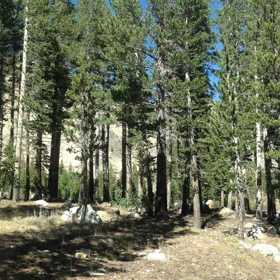 19 Glacier Dr, Virginia Lakes, CA 93517 Zillow