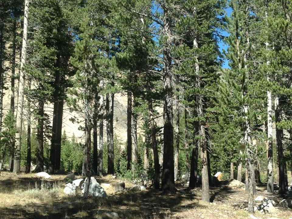 1st image of 19 Glacier Dr