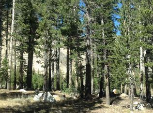 19 Glacier Dr, Virginia Lakes, CA 93517