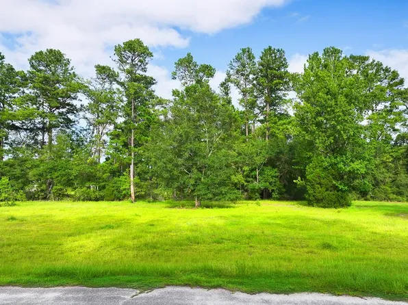 Stanley Dr, Wewahitchka, FL 32465