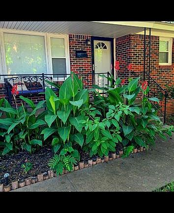 4th image of 1314 N Ash St