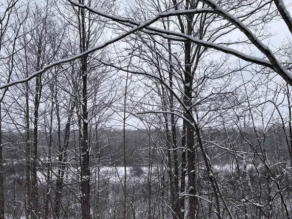 Vl 10 Lake Louise Rd, Interlochen, MI 49643