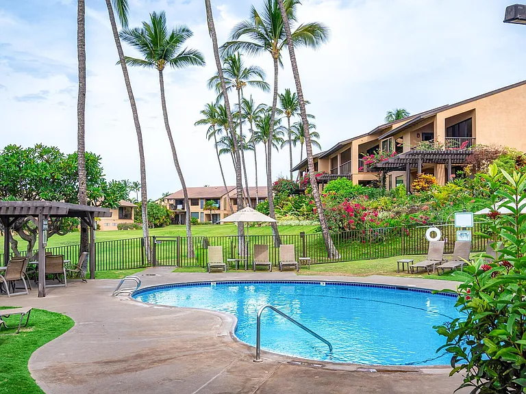 Wailea Alanui Dr — Photo 32