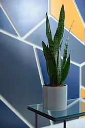 Rented by BIG Management NY