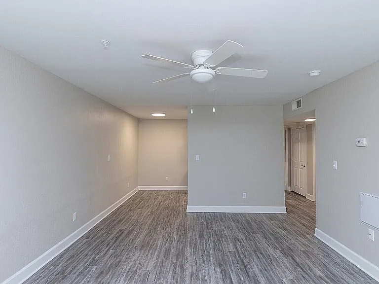 Large Living Room