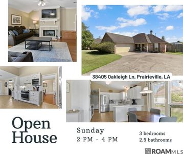 38405 Oakleigh Ln, Prairieville, LA, 70769
