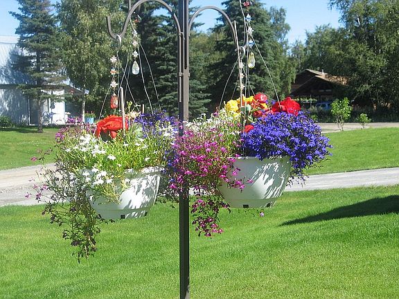 Side Lawn