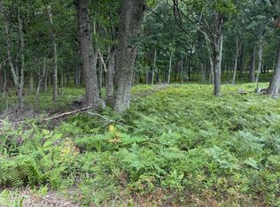 28 Snowshoe Ct, Bushkill, PA 18324